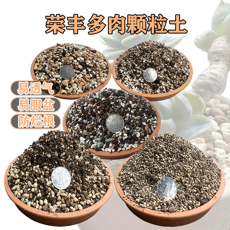 荣丰园多肉颗粒土小苗叶插老桩