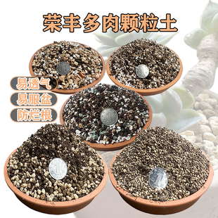 荣丰园 多肉颗粒土 泥炭花土叶插纯颗粒专用营养土通用土铺面土壤