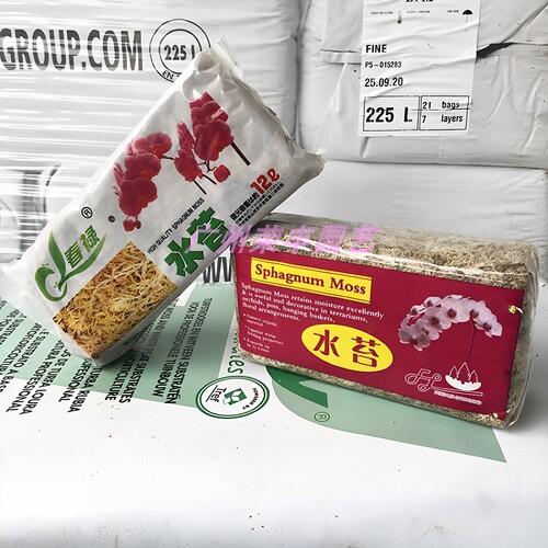 水苔苔藓无土栽培兰花保湿基质