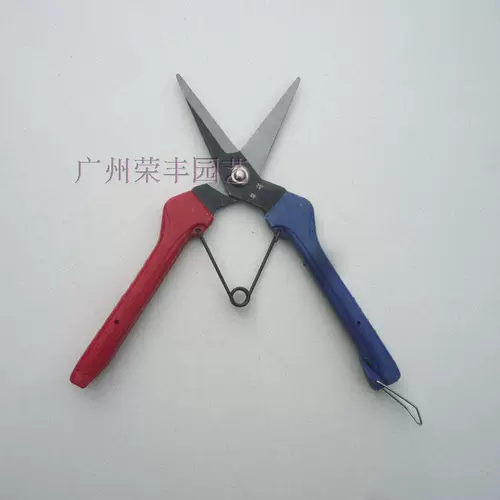 Продукт Продукт-Тайвань Cuiyu 604 Прямой рот.