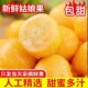 2026现摘现发东北姑娘果新鲜大果菇娘果当季 水果黄灯笼果5斤姑鸟