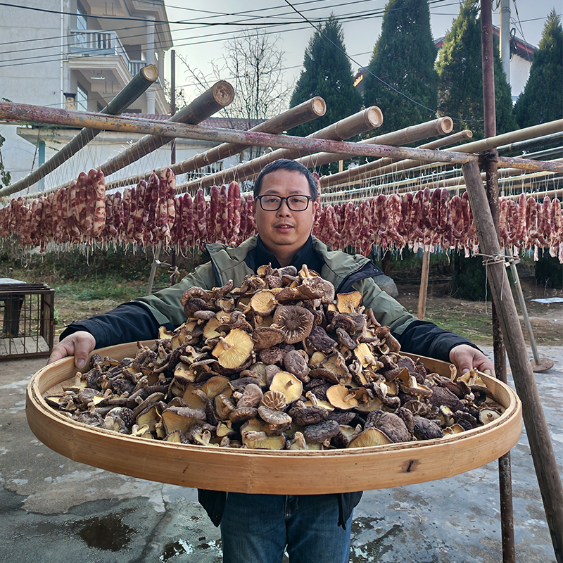 真树香菇【良哥保障】深山野生椴木树香菇 【大小和厚薄不一】