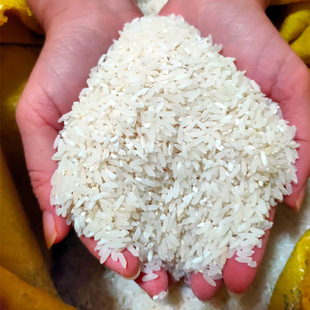 【自家晚稻大米】南方籼米 不抛光 有胚芽 有部分碎米 少放水