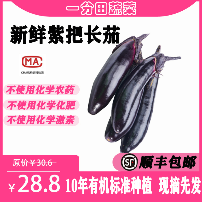 一分田 有机紫长茄 紫长茄 新鲜蔬菜 蔬菜配送 【顺丰速运】500g