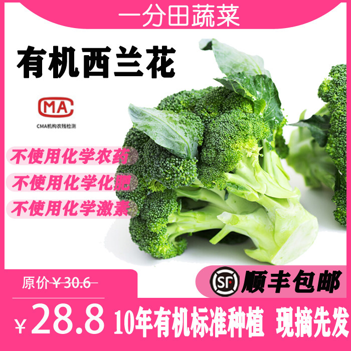 一分田 有机西兰花 花椰菜蔬菜 蔬菜配送 【顺丰速运】500g
