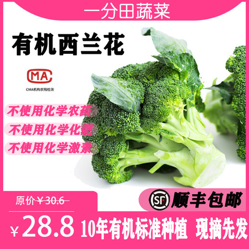 一分田 有机西兰花 花椰菜蔬菜 蔬菜配送 【顺丰速运】500g - 封面