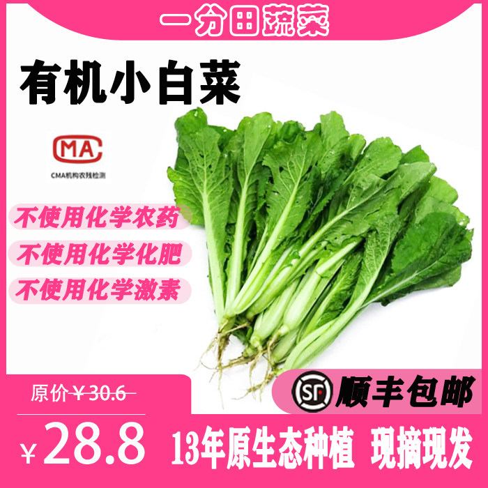 一分田 有机小白菜 新鲜小白菜 新鲜蔬菜蔬菜配送 顺丰速运500g