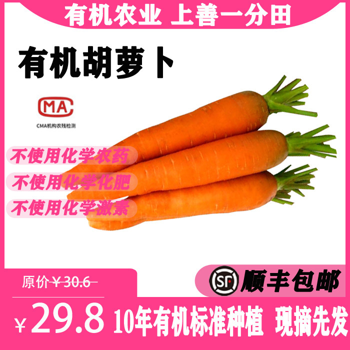 一分田 有机胡萝卜 新鲜胡萝卜 配送 【顺丰速运】500g