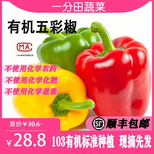 一分田新鲜花椒500g五彩椒