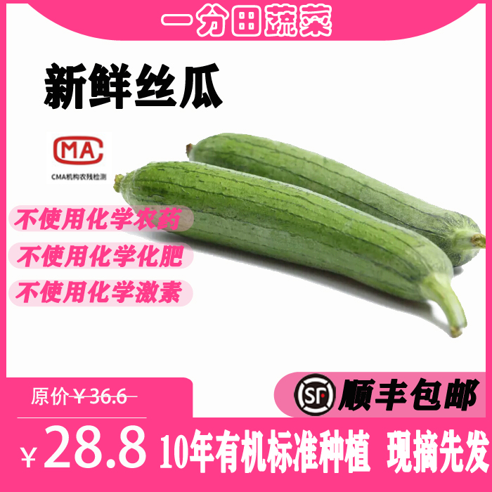 一分田 新鲜丝瓜 丝瓜 青岛新鲜蔬菜 蔬菜配送 【顺丰速运】500g 水产肉类/新鲜蔬果/熟食 丝瓜 原图主图