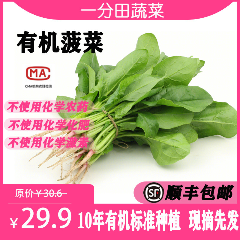 一分田 农家自种有机蔬菜火锅大叶菠菜新鲜现摘约500g