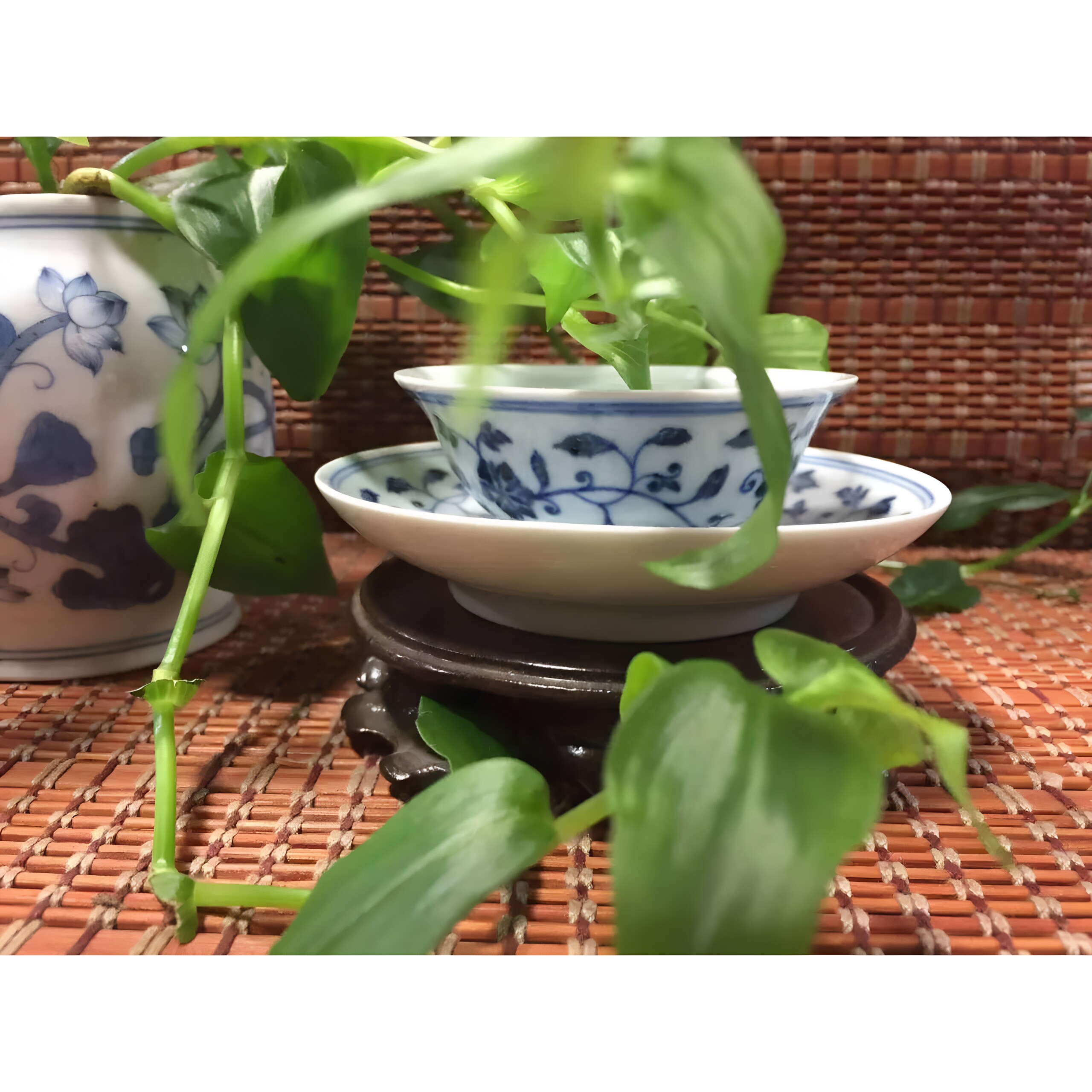 老贵景德窑老贵和祥精品品茗杯 邹俊功夫茶具主人 青花缠枝普洱杯