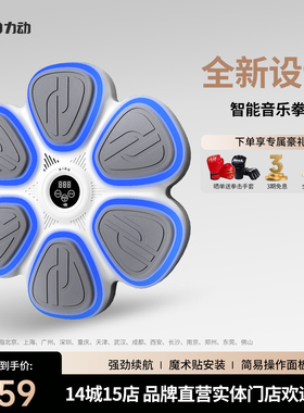 RIDO/力动RT30智能音乐拳击机墙靶家用健身器械免打孔安装打靶机