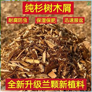 第三代新型兰花植料纯杉树木屑兰花专用土石斛文兰墨兰石斛营养土