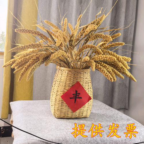 天然黄谷子稻穗干花丰收节装饰
