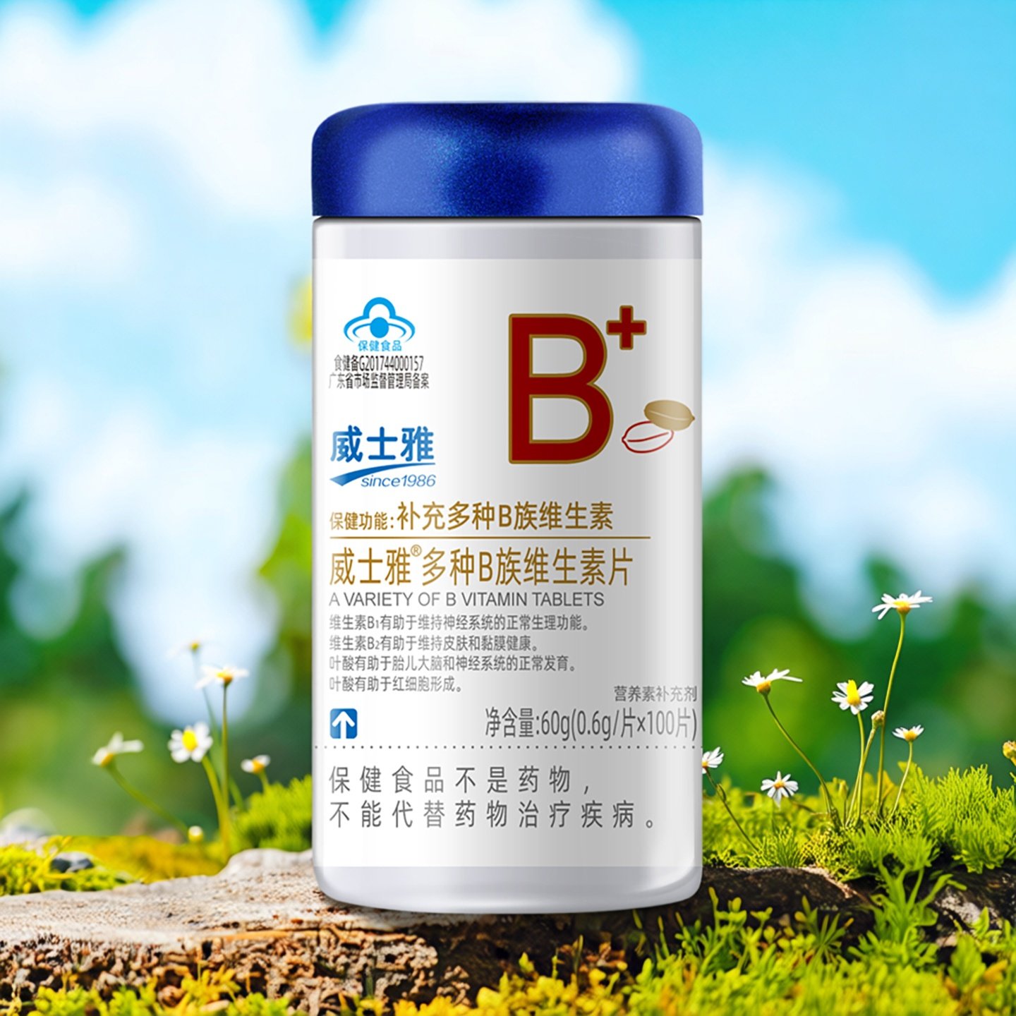 威士雅多种B族维生素片成人复合维b族1b2b5叶酸泛酸钙烟酰胺100片