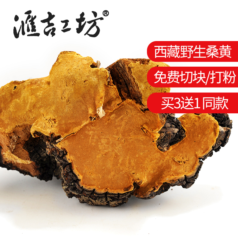 汇吉工坊桑黄西藏桑黄整枝灵芝片孔菌250g云南桑黄野外生长