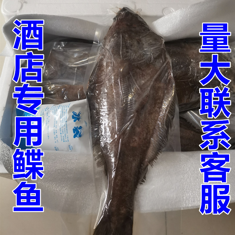 整条大鲽鱼格陵兰比目鱼碟鱼酒店专用鲽鱼规格稳定包邮酒店直供