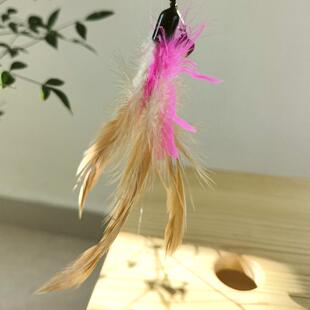 精选搭售购买包邮逗猫棒替换头原色鸡毛羽毛满19元包邮