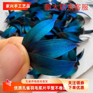 优质孔雀羽毛浆片点翠仿点翠材料手工制作耳环发簪胸针材料耳饰