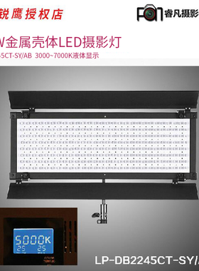 锐鹰 大功率LED摄影灯 大功率LED新闻灯演播灯 LP-DB2245CT-SY/AB