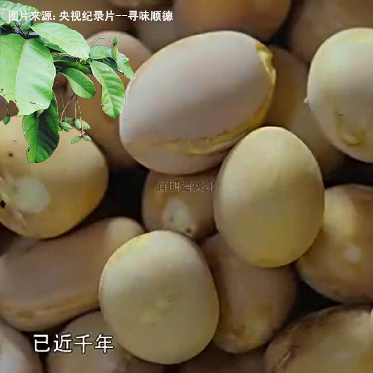 新鲜去皮凤眼果富贵子顺德苹婆频婆九层皮果肉七姐果六旺籽包邮