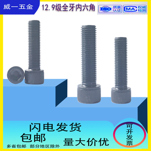 12.9级高强度细牙内六角超细圆柱头螺丝M7M9M11M14M16M18M201牙距