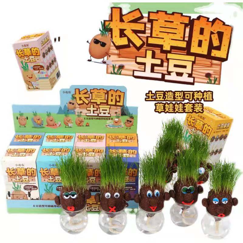 小花农长草的土豆草娃娃盆栽绿植创意抖音幼儿园可爱摆件儿童种植