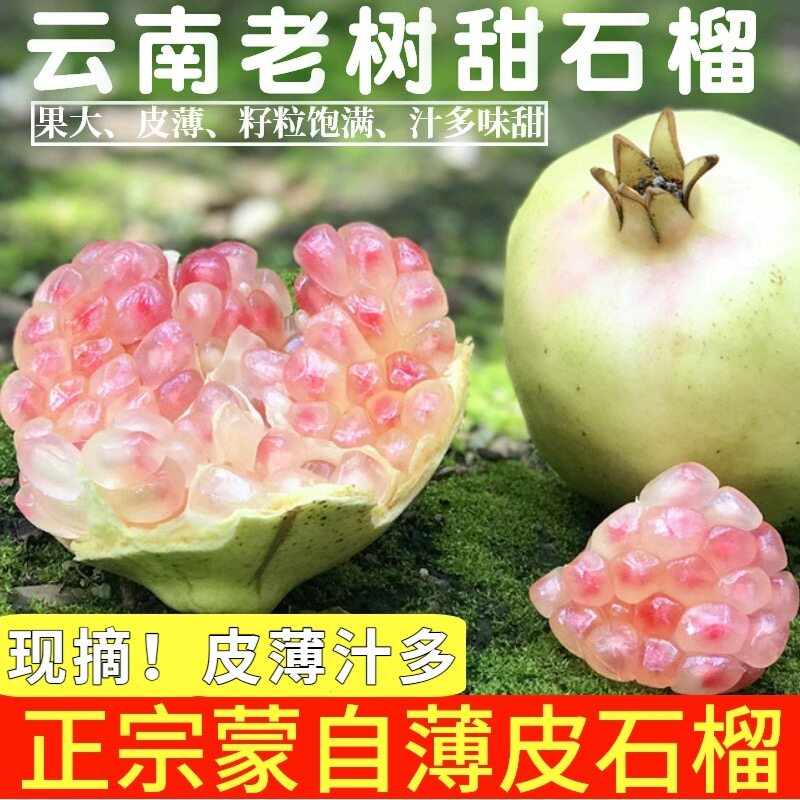 【正宗】云南蒙自石榴当季水果新鲜薄皮软籽多汁酸甜石榴现摘现发