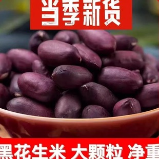 山东农家自种富硒黑花生2025年新货无壳紫皮花生日晒花生米仁新鲜