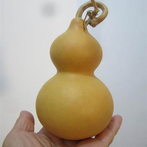 天然亚腰葫芦精品白皮本色
