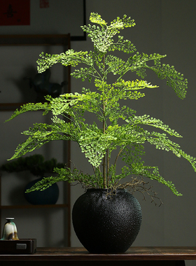 仿真绿植蕨类植物盆景客厅摆件
