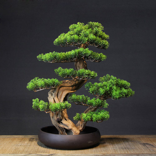 新中式风绿植迎客松微景观装饰品