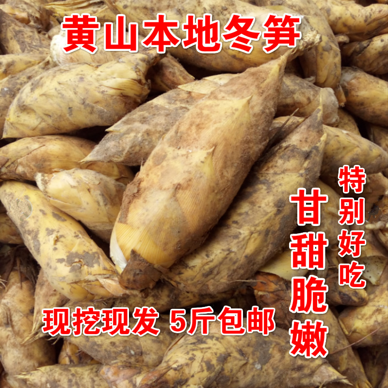 新鲜现挖精选野生冬笋脆甜高山笋黄山歙县问政山沙泥笋满5斤包邮