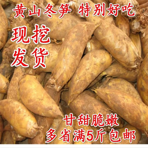 新鲜现挖现发野生冬笋去老根歙县问政山沙黄泥春笋毛竹笋5斤包邮