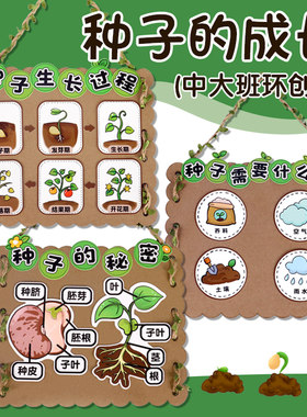 植物区种子装饰手工制作材料