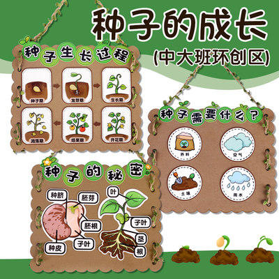 植物区种子装饰手工制作材料