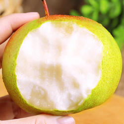 2025年延边龙井苹果梨 当季新鲜现摘水果 甜脆汁多苹果梨