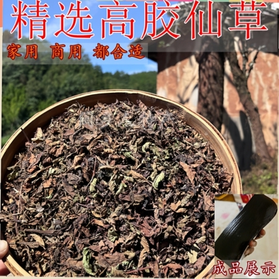 高胶质仙草叶子 黑凉粉草粿草仙草冻 正宗仙人草粉龟苓膏烧仙草