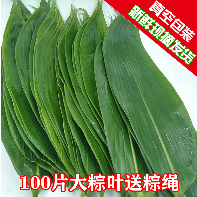 粽子叶新鲜野生真空装