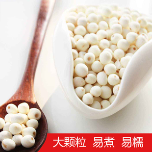 江苏淮安特产金湖老龙窝鸡头米芡实500g/袋煲汤煮粥营养多省包邮