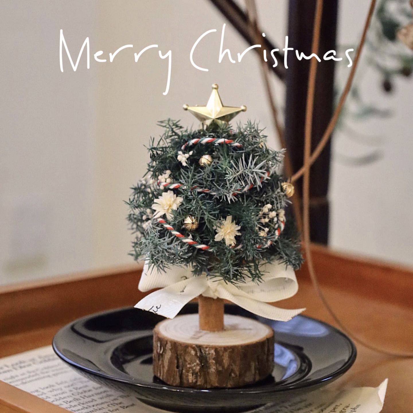 进口永生花迷你圣诞树手工礼物雪松松果车内装饰桌面摆件伴手礼