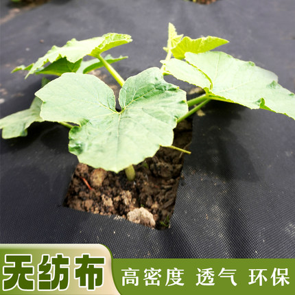 园艺无纺布草莓花卉育苗蔬菜果树果农用生态除草地膜保湿盖草布