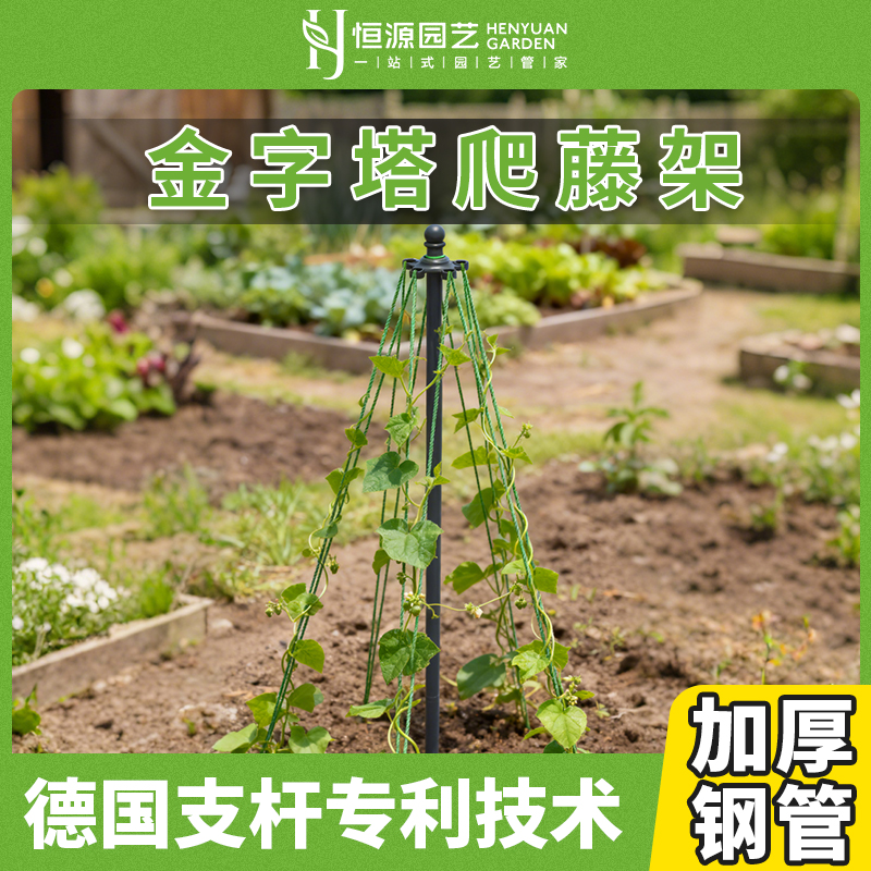 金字塔爬藤架德国专利技术四季豆角植物攀爬网铁线莲悬挂钢丝花架
