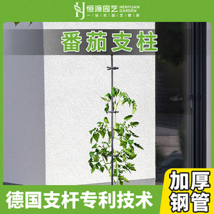 爬藤屏风室外庭院铁艺藤条挡风围栏花架 德国专利技术番茄支柱欧式