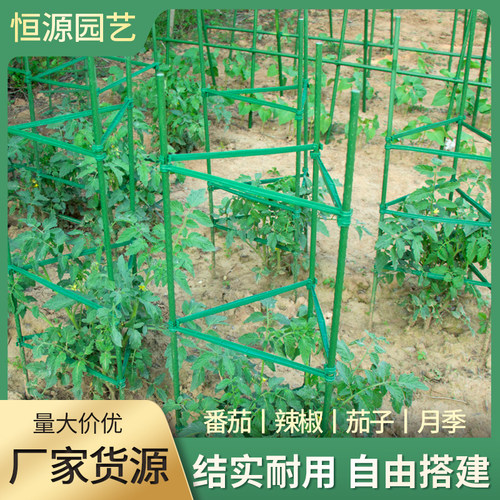 西红柿番茄支架种植架支撑架