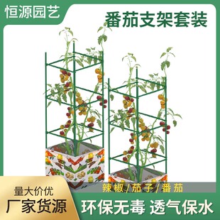 西红柿番茄架种菜黄瓜豆角架子植物花架阳台爬藤支架支撑杆