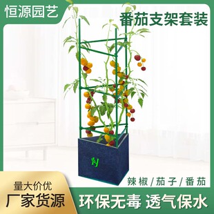 西红柿番茄架种菜黄瓜豆角架子植物花架阳台爬藤支架支撑杆套装