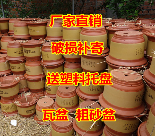 特大号落地紫砂陶瓷红砂花卉粗砂