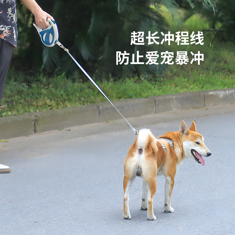 狗狗牵引绳可自动伸缩大型犬小狗小型宠物链牵狗绳遛狗中型的链子